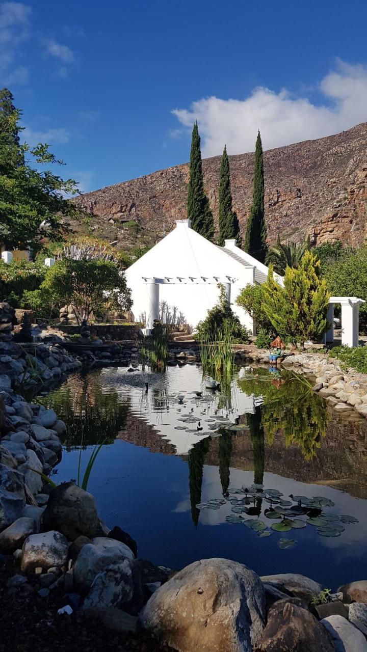 Montagu Little Sanctuary - Free Hot Spring Access - For June And July Монтегю Экстерьер фото