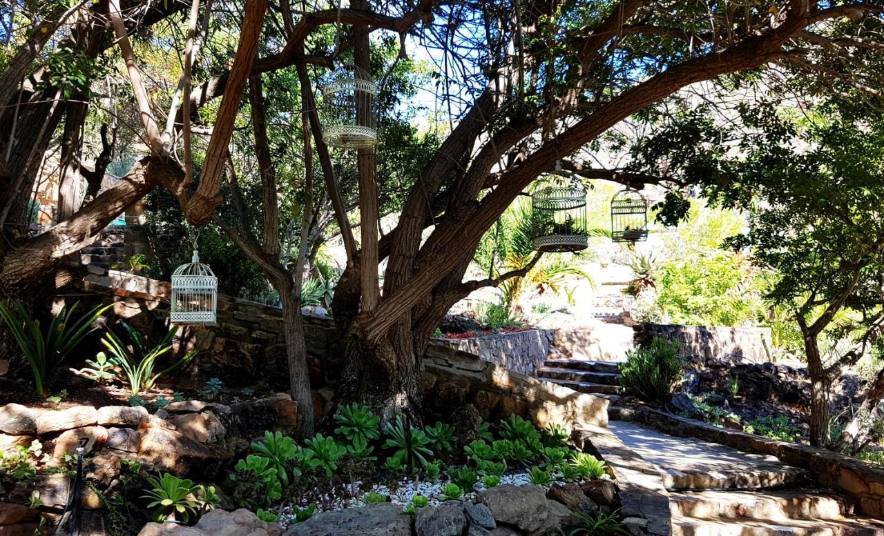 Montagu Little Sanctuary - Free Hot Spring Access - For June And July Монтегю Экстерьер фото