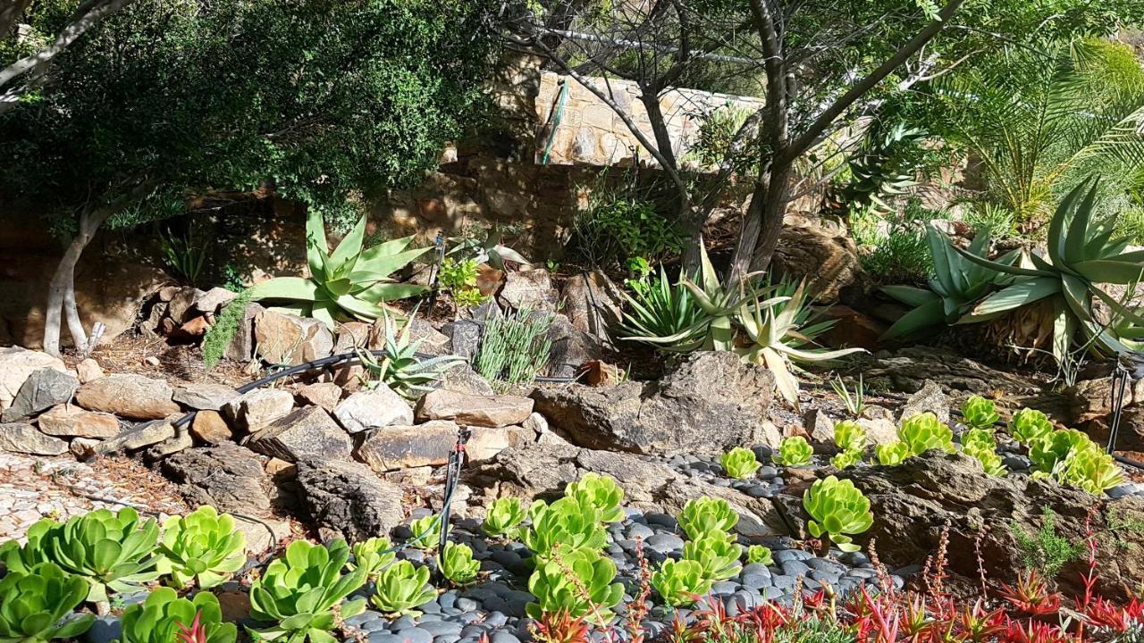 Montagu Little Sanctuary - Free Hot Spring Access - For June And July Монтегю Экстерьер фото